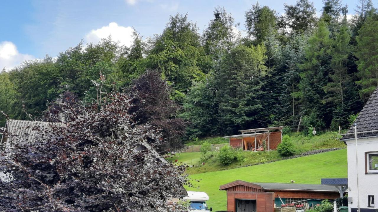Yalet Ferienhaus 2 Appartementen Vlakbij Willingen Brilon-Wald Bagian luar foto