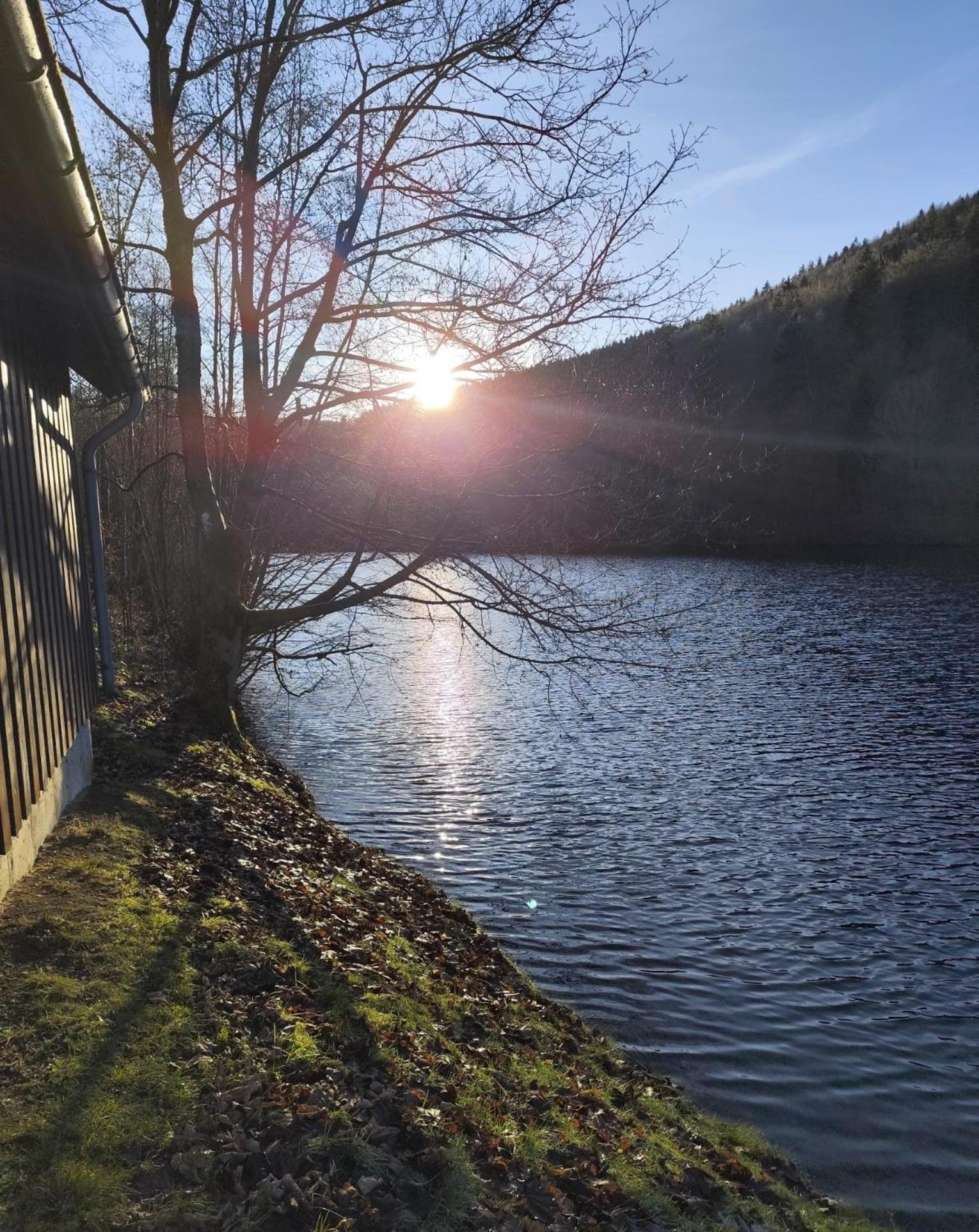Yalet Ferienhaus 2 Appartementen Vlakbij Willingen Brilon-Wald Bagian luar foto